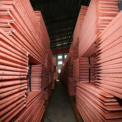 Le cuivre de JIS ASTM B152M Copper Plate Sheet a plaqué la tôle 2500mm